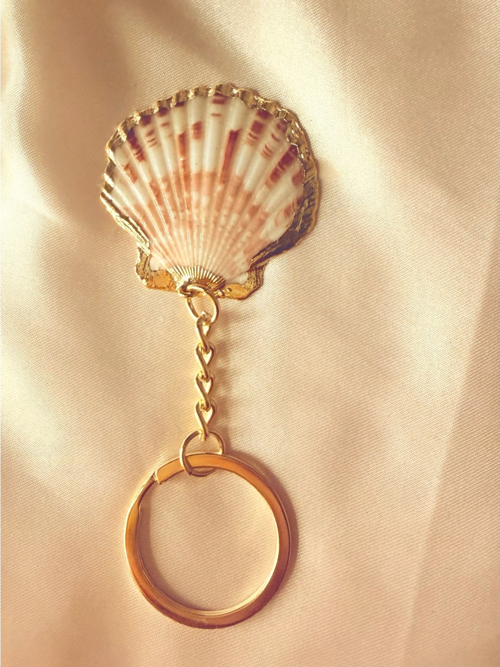 Seashell Gold Key Holder Keychain - Coastal Pink Shell Accent